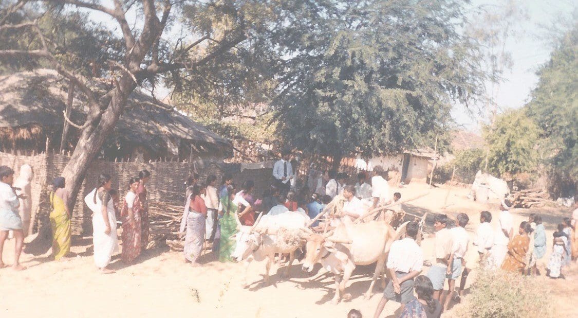 A group of people gathered around some trees