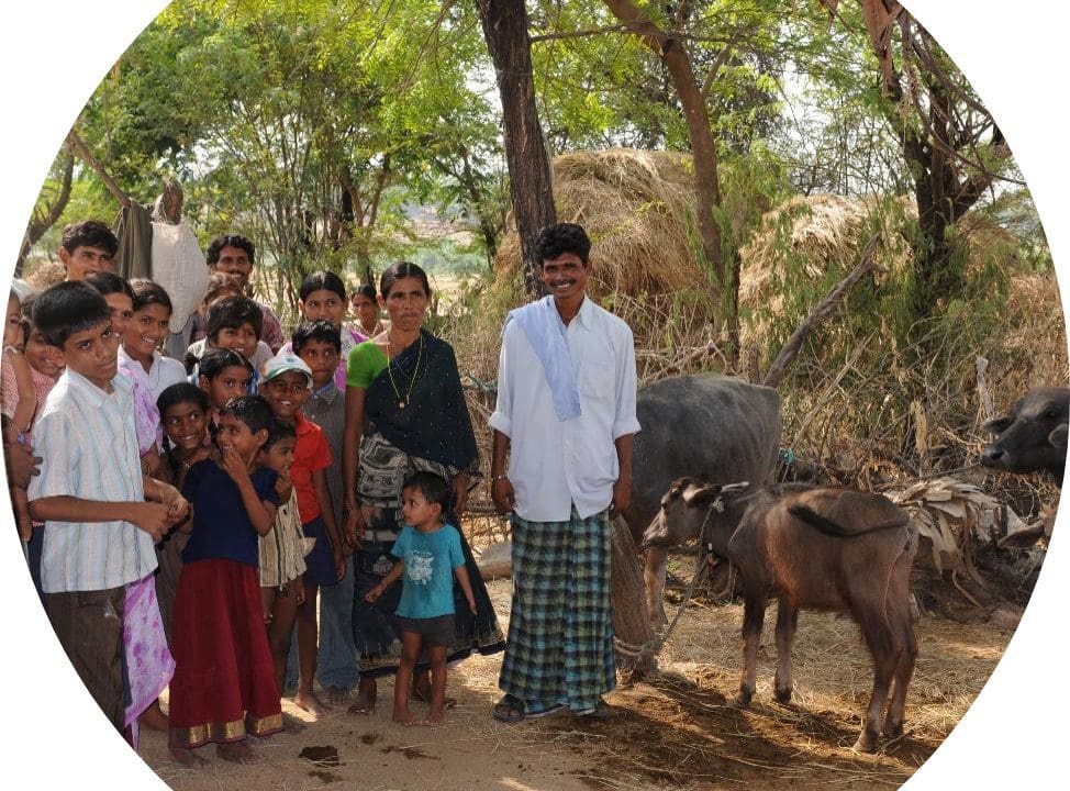 A group of people standing around an animal.