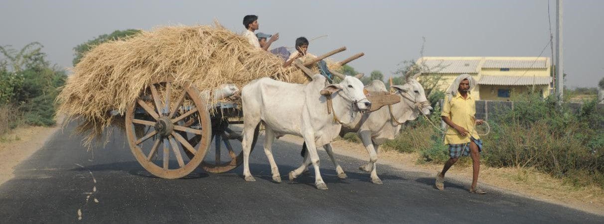 A group of people riding on the back of a wagon pulled by cows.